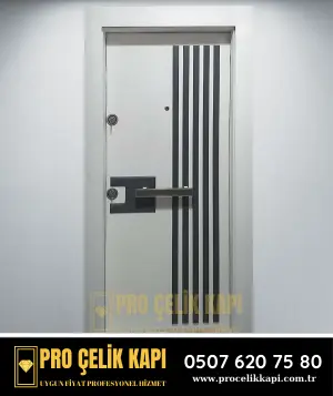 Zeytinburnu Çelik Kapı - Plus 3